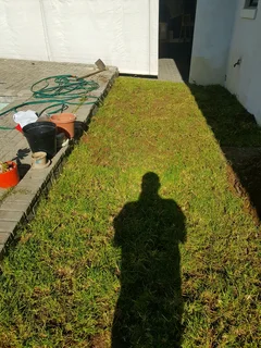 WE SUPPLY KIKUYU GRASS BUFFALO GRASS AND LM BEREA GRESS AND CYNODON GRASS