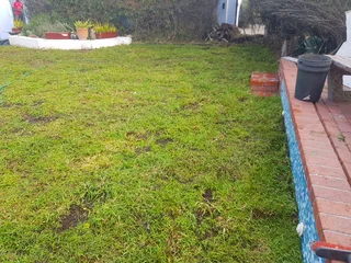 WE SUPPLY KIKUYU GRASS BUFFALO GRASS AND LM BEREA GRESS AND CYNODON GRASS