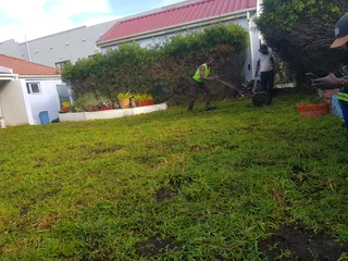 WE SUPPLY KIKUYU GRASS BUFFALO GRASS AND LM BEREA GRESS AND CYNODON GRASS