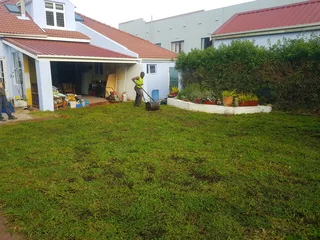 WE SUPPLY KIKUYU GRASS BUFFALO GRASS AND LM BEREA GRESS AND CYNODON GRASS