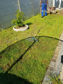 WE SUPPLY KIKUYU GRASS BUFFALO GRASS AND LM BEREA GRESS AND CYNODON GRASS