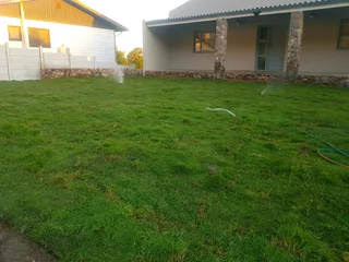 WE SUPPLY KIKUYU GRASS BUFFALO GRASS AND LM BEREA GRESS AND CYNODON GRASS