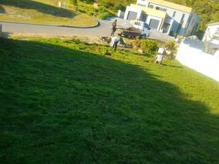 WE SUPPLY KIKUYU GRASS BUFFALO GRASS AND LM BEREA GRESS AND CYNODON GRASS