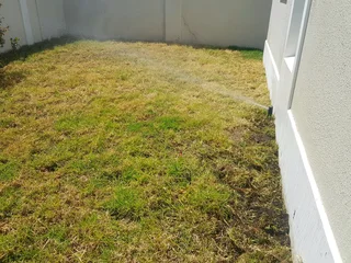 WE SUPPLY KIKUYU GRASS BUFFALO GRASS AND LM BEREA GRESS AND CYNODON GRASS