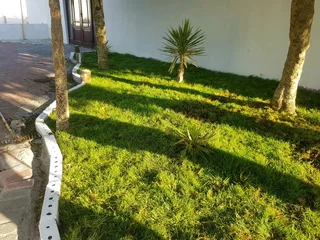 We Supply Kikuyu Grass Buffalo Grass And Lm Berea Gress And Cynodon Grass