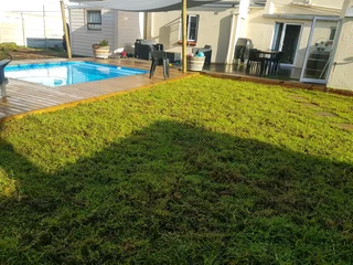 WE SUPPLY KIKUYU GRASS BUFFALO GRASS AND LM BEREA GRESS AND CYNODON GRASS