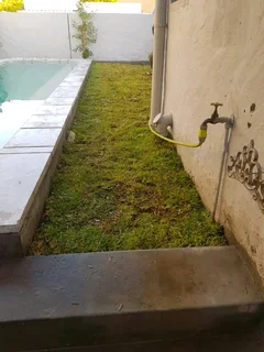 We supply Kikuyu grass buffalo grass and Lm berea gress and cynodon