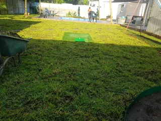 WE SUPPLY KIKUYU GRASS BUFFALO GRASS AND LM BEREA GRESS AND CYNODON GRASS