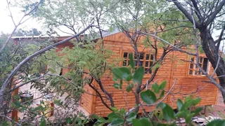 I have special Wendy's houses Logo cabin