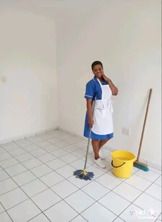 Cleaner nanny maid