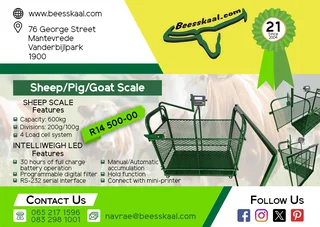Sheep/Pig/Goat Scale