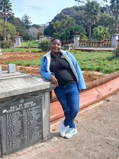 I'm looking for the as dometic work