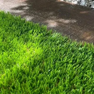 Instant lawn