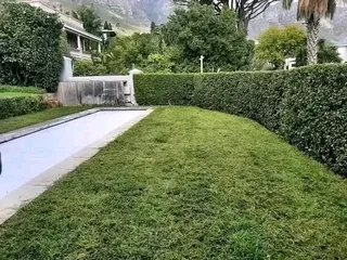 Instant lawn