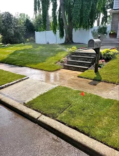 Instant lawn