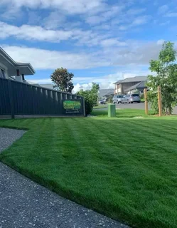 Instant lawn