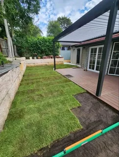 Instant lawn