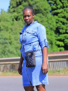 l professional domestic worker and a