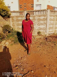 l professional domestic worker and a