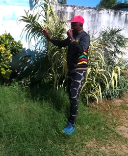 Gardening and landscaping