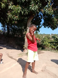 House with site included