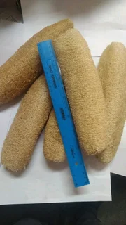 Loofah Sponge