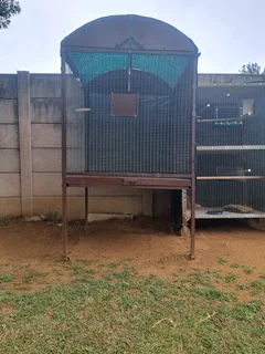 Big bird cage for parrots,African Grey or other tipes of big birds