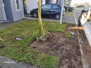 NATURAL GRASS/BUFFALO,KIKUYU,LM BEREA,GULF GREEN,CYNODONE,ORGANIC COMPOST,SUPPLY AND INSTALLATION.