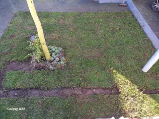 NATURAL GRASS/BUFFALO,KIKUYU,LM BEREA,GULF GREEN,CYNODONE,ORGANIC COMPOST,SUPPLY AND INSTALLATION.