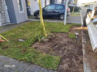 ROLL ON LAWN,BUFFALO,KIKUYU,LM BEREA,GULF GREEN,CYNODONE,SUPPLY AND INSTALLATION.