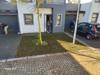 ROLL ON LAWN GRASS,BUFFALO,KIKUYU,LM BEREA,GULF GREEN,CYNODONE,SUPPLY AND INSTALLATION