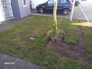 ROLL ON LAWN GRASS,BUFFALO,KIKUYU,LM BEREA,GULF GREEN,CYNODONE,SUPPLY AND INSTALLATION