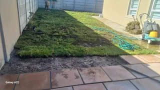 100%weed Free#kikuyu#buffalo#lm Berea#gulf Green#cynodone,lawn dressing,  Supply And Install.