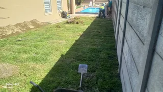 Natural Grass,roll On Lawn Grass,kikuyu Supply And Installation