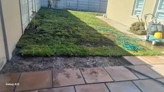 NATURAL LAWN GRASS,WE DO SUPPLY AND INSTALLATION BUFFALO GRASS, KIKUYU GRASS.LM BEREA