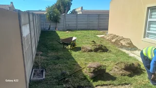 NATURAL LAWN GRASS,WE DO SUPPLY AND INSTALLATION BUFFALO GRASS, KIKUYU GRASS.LM BEREA