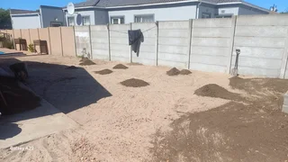 NATURAL LAWN GRASS,WE DO SUPPLY AND INSTALLATION BUFFALO GRASS, KIKUYU GRASS.LM BEREA