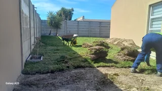 WEED FREE LAWN GRASS,BUFFALO KIKUYU LM BEREA GULF GREEN, CYNODONE ORGANIC COMPOST, SUPPLY AND FIX