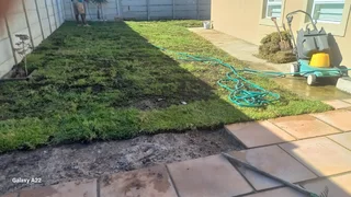 Rollonlawngrass,buffalokikuyu,lm Berea,supply And Installation