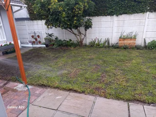 FRESH FROM THE FARM,BUFFALO,KIKUYU,LM BEREA,GULF GREEN,CYNODONE,LAWN DRESSING,SUPPLY AND INSTALL