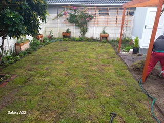 FRESH FROM THE FARM,BUFFALO,KIKUYU,LM BEREA,GULF GREEN,CYNODONE,LAWN DRESSING,SUPPLY AND INSTALL