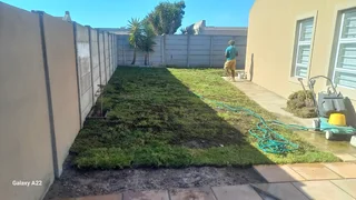 BUFFALO,KIKUYU,LAWN DRESSING,SUPPLY AND INSTALLATION.