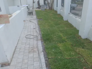 Natural grass and cobbles paving