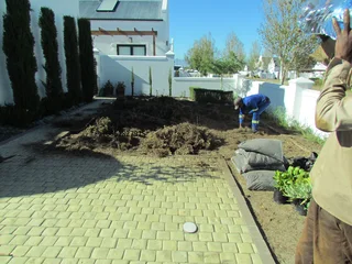 100% WEEDFREE #NATURALGRASS #KIKUYU #LMBEREA #BUFFALO #ORGANIC COMPOST #SUPPLY N INSTALLATION