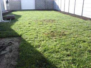 100% WEEDFREE #NATURALGRASS #KIKUYU #LMBEREA #BUFFALO #ORGANIC COMPOST #SUPPLY N INSTALLATION