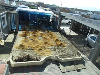 #SAVEWATER #ARTIFICIAL GRASS #BLOCLK N TURF # SUPPLY N INSTALLATION