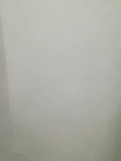 Professional Painting