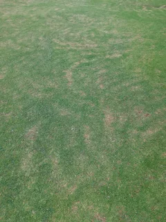 Grass cutting service