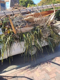 tree felling services