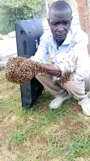 Astrology Traditional Healer / Love spell caster / Marriage spells &#43;27712405284